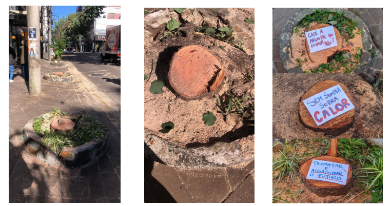 Marina denuncia ao MP omissão da Prefeitura em supressão de árvores na Rua Morom