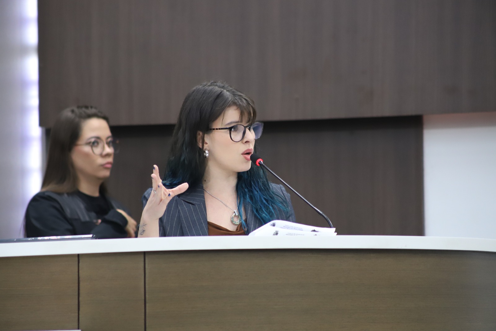 Promover e proteger os direitos humanos agora são compromissos éticos do Legislativo em Passo Fundo