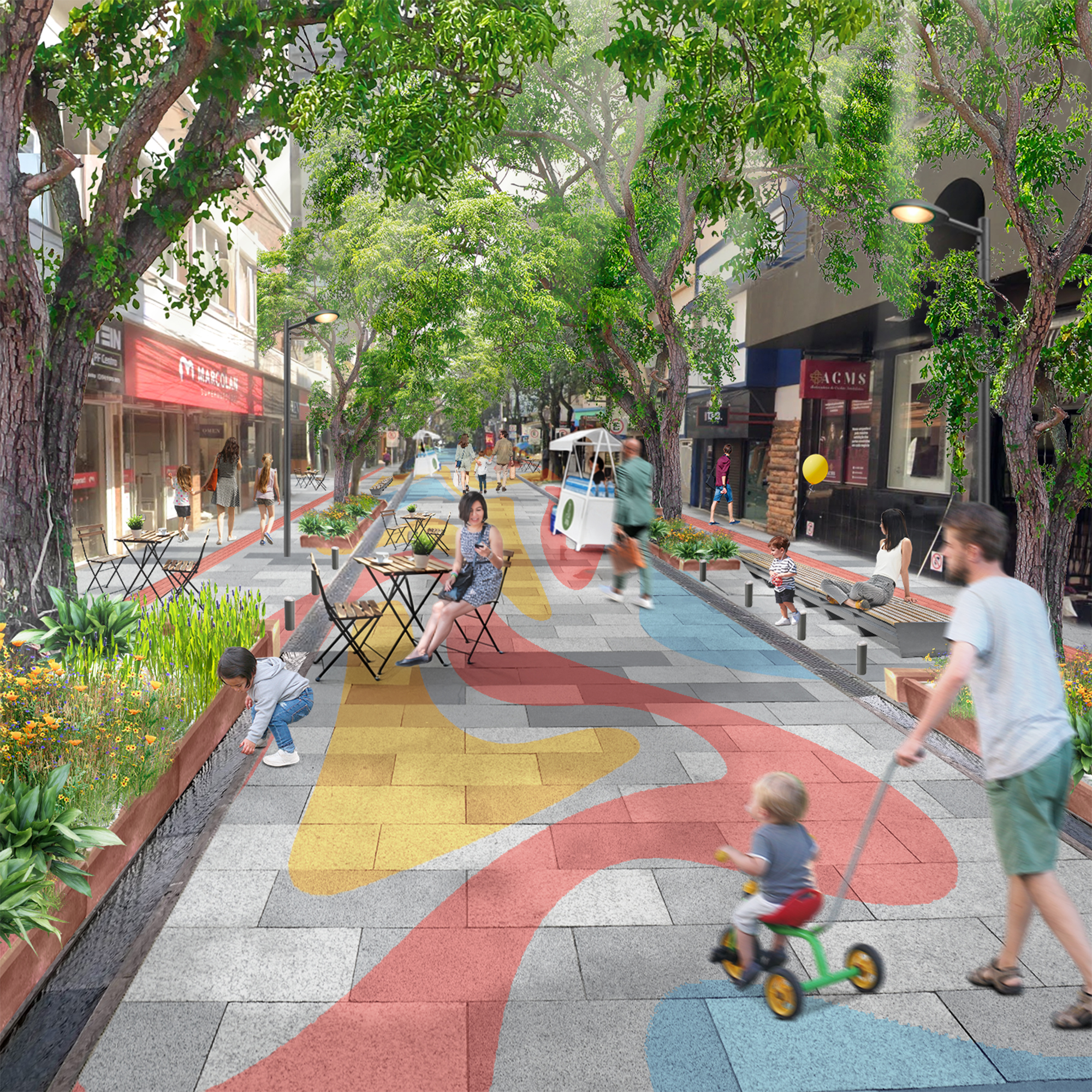 Marina sugere requalificação sustentável e diálogo permanente no projeto da rua Morom