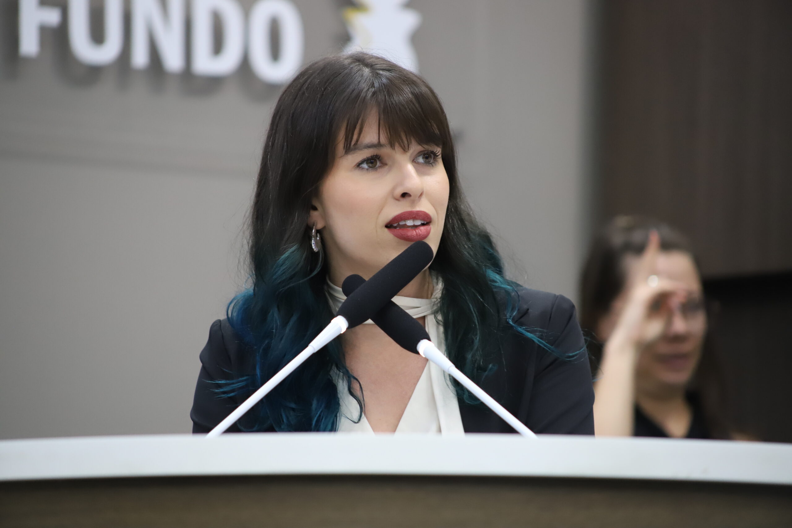 Sem revisão há 20 anos, Plano Diretor de Passo Fundo é objeto de denúncia da vereadora Marina